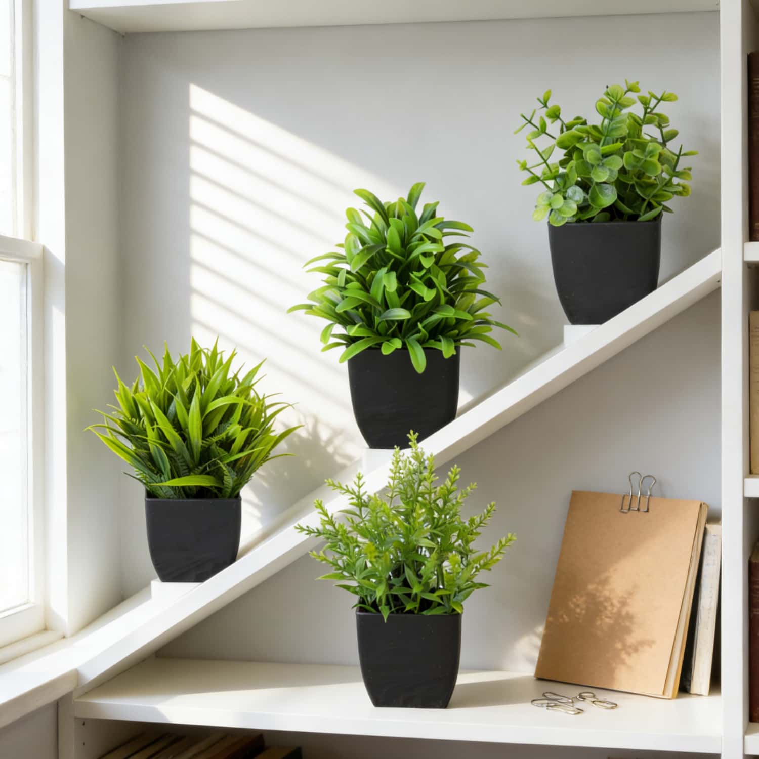 1 Stück Realistische Mini-Euka – Home Bathroom Shelf Bewertung und Preis