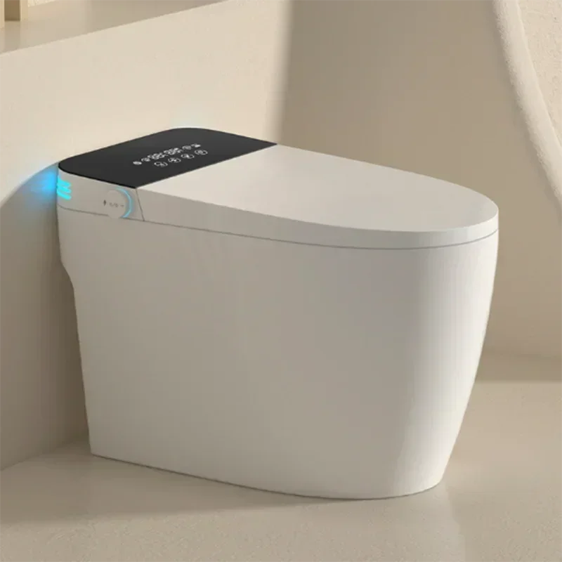 Tragbare Smart-Toilette, Badez – Jet Home Bathroom Accessories Bewertung und Preis