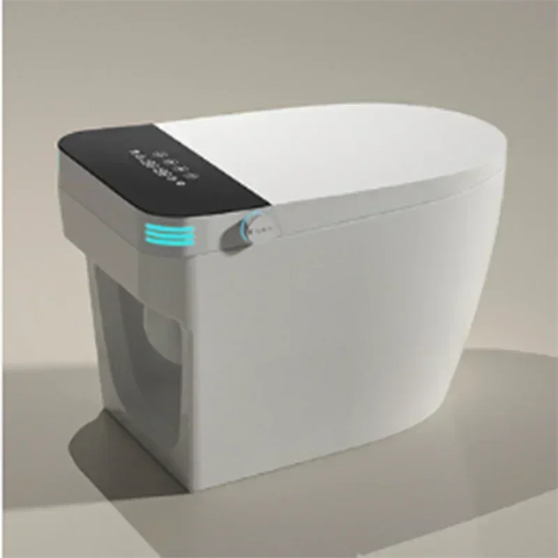 Tragbare Smart-Toilette, Badez – Jet Home Bathroom Accessories Bewertung und Preis