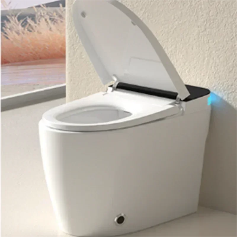 Tragbare Smart-Toilette, Badez – Jet Home Bathroom Accessories Bewertung und Preis